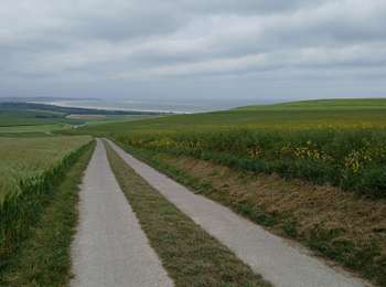 Tocht Stappen Witzand - 20260510 Wissant - Photo