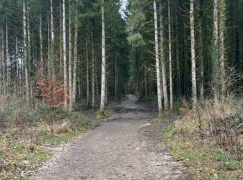 Trail Walking Menétrux-en-Joux - cascades des herissons - Photo