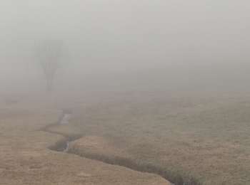 Percorso Marcia Perpezat - perpezat - Photo