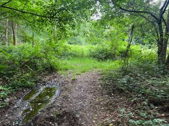 Tour Wandern Clavier - MANE Heritage - The Bagatelle Widerstand gegen S.S.-Truppen - Photo