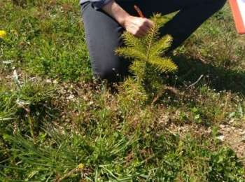 Tour Zu Fuß Bièvre - Se mouvoir et s'émouvoir au gré de l'Ardenne insoupçonnée. Parcours complet - Photo
