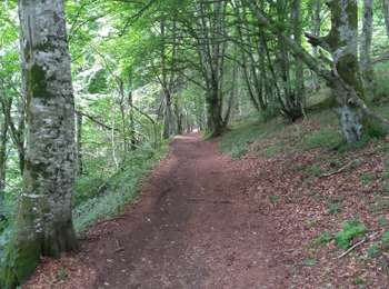 Percorso Marcia Orcines - Ballade au Puy de Cōme - Photo