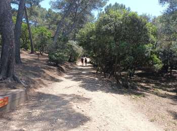 Excursión Senderismo Hyères - Presqu'île Giens Ouest-26-05-23 - Photo
