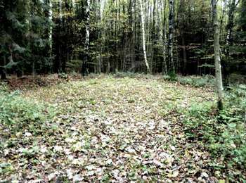 Tocht Te voet Aken - GrenzRouten: Route 5 - Aachener Wald - Photo