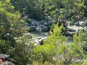 Trail Walking Venaco - Venez-vous - Photo