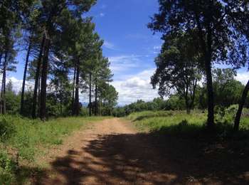 Excursión Bici de montaña Vallon-Pont-d'Arc - SityTrail - 2433385 - vtt-vallon-pont-arc-xpont-romain-et-dolmen-25-km - Photo