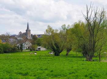 Excursión Senderismo Sombreffe - Marche Adeps à Tongrinne - Sombreffe - Photo