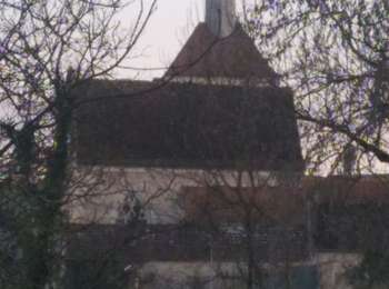 Trail Walking Jussy - Jussy 17032025 - Photo