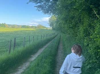 Trail Walking Aroz - Pontcey-aros - Photo