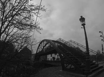 Trail Mountain bike Pont-à-Celles - _20201114_091824 - Photo