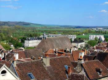 Trail On foot Tonnerre - Forêt de Tonnerre - Photo