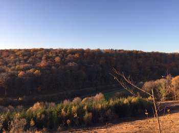 Trail Mountain bike L'Isle-en-Rigault - Rando Lisle monplone brillons Lisle  - Photo
