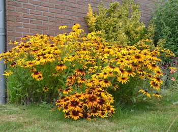 Percorso Marcia Blegny - 20220711 - Blégny - 7.7 Km - Photo