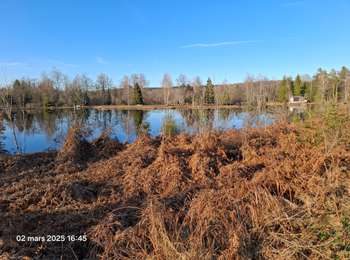 Trail Walking Faucogney-et-la-Mer - Autour du village La mer   - Photo