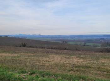 Percorso Quad Cognat-Lyonne - TOUR DE JENZAT - FIN A TERMINER - 20260222 - Photo