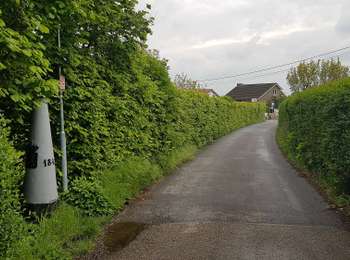Trail On foot Plombières - Beusdael - Photo