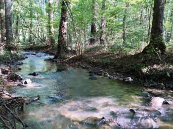 Trail Walking Nandrin - Promenade de la Rochette   - Photo