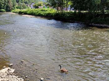 Trail Walking Chaudfontaine - La balade du charbon   - Photo