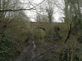 Trail Walking Braine-le-Comte - 2021-02-07 12:42:45 BLC-Rebecq-BLC 2 ist - Photo