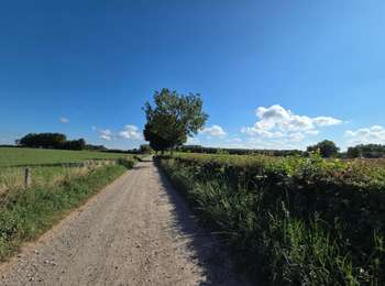 Randonnée Marche Eijsden-Margraten - Terlinden _ 704 - Photo