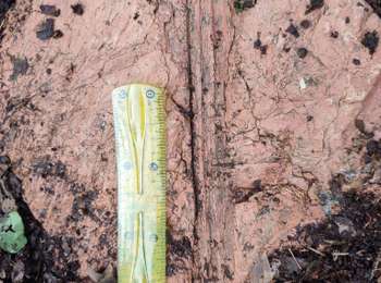 Trail Walking Dour - chaga  - Photo