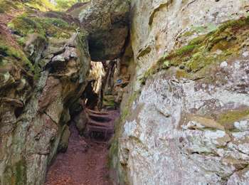 Tocht Stappen Larochette - Mullerthal Larochette L4 Hexenlee-Kauzelee-Drachenlee-Eylelee-Rammelee (PVDB) - Photo