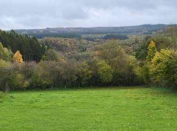 Randonnée Marche Tenneville - Wyompont 241025 - Photo