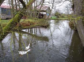 Trail Road bike Collemiers - Collemiers 240317 - Photo
