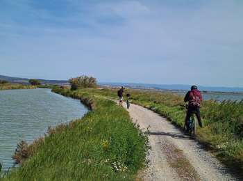 Tocht Mountainbike Port-la-Nouvelle - Port la Nouvelle ( parking île Ste Lucie ) Bages d 'Aude - Photo
