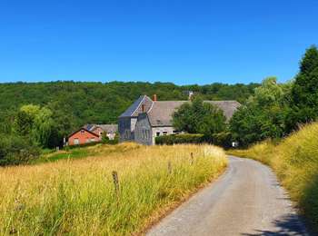 Excursión Senderismo Beauraing - Balade de Dion à Winenne - Beauraing - Photo