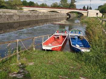 Trail Electric bike Jussy - accolay - Photo