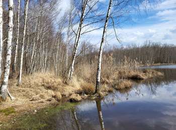 Trail Walking Saint-Germain - les lavoirs - Photo