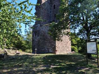 Randonnée Marche Saverne - haut barr, canal  - Photo