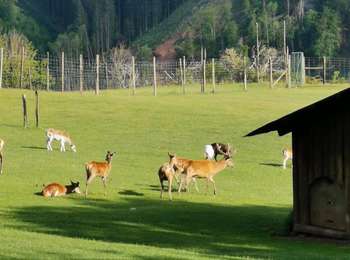 Percorso Marcia Malmedy - Canyon des Trôs-Marets - Photo
