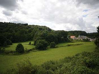 Tour Wandern Anhée - Sosoye - Circuit Natura 2000, des sites qui valent le détour - Na11 - Photo