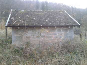 Trail On foot Port-Lesney - Val d'Amour - Photo