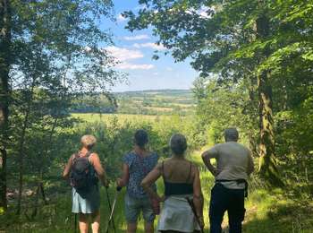 Trail Walking Marche-en-Famenne - Lignières - Photo