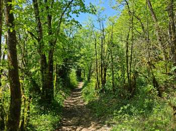 Trail Walking La Tour-du-Meix - A la découverte du lac de Vouglans 🥾 - Photo