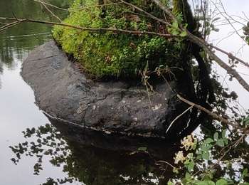 Trail Walking Mélisey - melissey - Photo