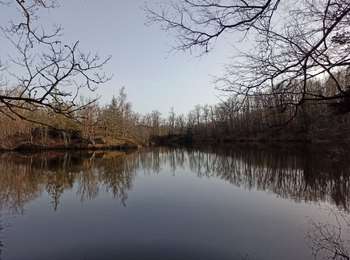 Trail Walking Faucogney-et-la-Mer - 08-03-26 : circuit du bois d'Arfin - Photo