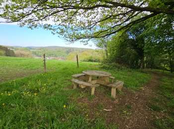 Tour Wandern Onhaye - Balade à Weillen - Onhaye - Photo