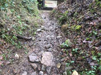 Percorso Mountainbike Seraing - 20200119 AR Isa Ninane - Photo