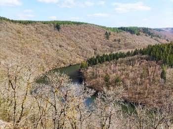 Trail Walking Houffalize - Promenade vers le barrage de Nisramont - Photo
