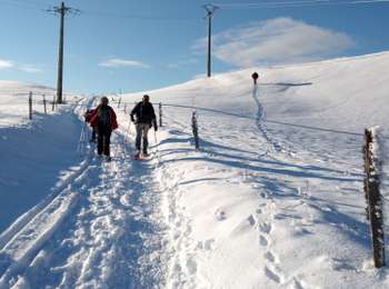 Trail Snowshoes Les Moussières - Les poussières raquettes - Photo
