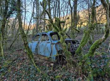 Trail Walking Aromas - Villeneuve les charnod - Photo