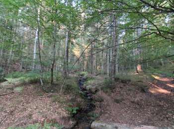 Percorso Marcia Lavoine - 10 km autour du puy de montoncel - Photo