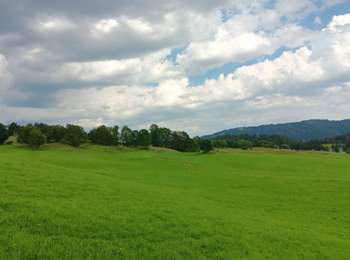 Trail Walking Lajoux - Le crêt de la vigoureuse (le vrai) - Photo