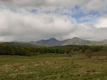 Percorso Marcia Picherande - La fontaine salée  - Photo