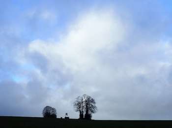 Trail Walking Chastre - #210129 - Blanmont - Chastre - Photo