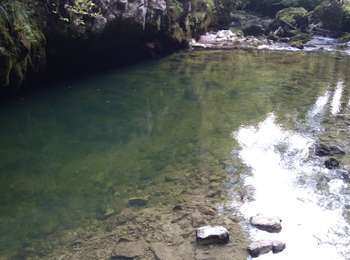 Trail Walking Saint-Claude - Crêt pourri - Photo